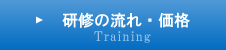 研修の流れ・価格